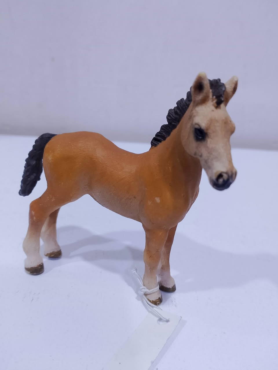 حيوانات سلايش متوفره سعر القطعه 5 توصيل متوفر


**إذا كنت صاحب هذا الإعلان وتريد حذفه لأي سبب، رجاءا أرسل رسالة إلى الدعم الفني**