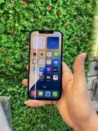 ايفون 12بروماكس 256 بطاريه 81 بلاديه سعره اخو البلاش جهاز فقط بي خط بل...