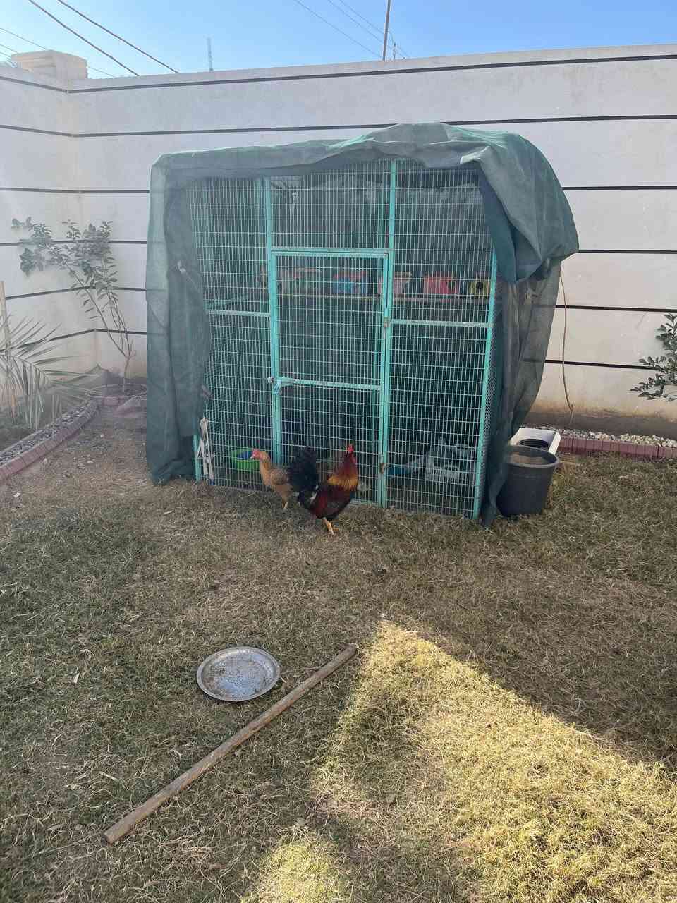 السلام عليكم... ... قفص ارتفاع 175 وجه 160 نزال 100
سعر 125 الف


**إذا كنت صاحب هذا الإعلان وتريد حذفه لأي سبب، رجاءا أرسل رسالة إلى الدعم الفني**