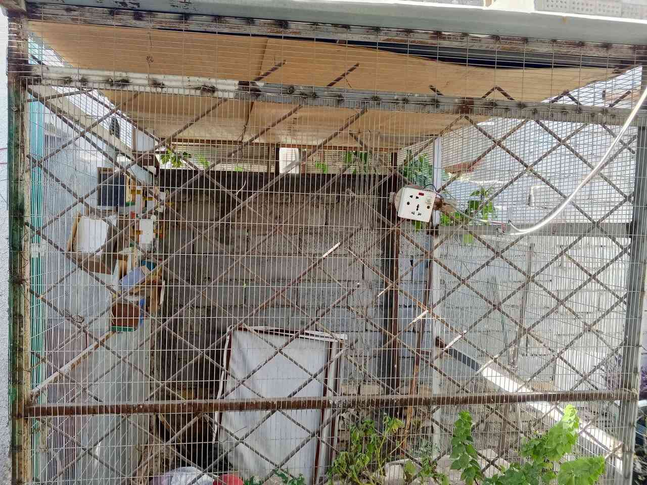 قفص حديد للبيع شغل درجه اولى العرض 2متر والطول 2متر و 90 الارتفاع 2متر السقف جينكو ثخين السعر 150 العنوان بابل الإسكندرية


**إذا كنت صاحب هذا الإعلان وتريد حذفه لأي سبب، رجاءا أرسل رسالة إلى الدعم الفني**