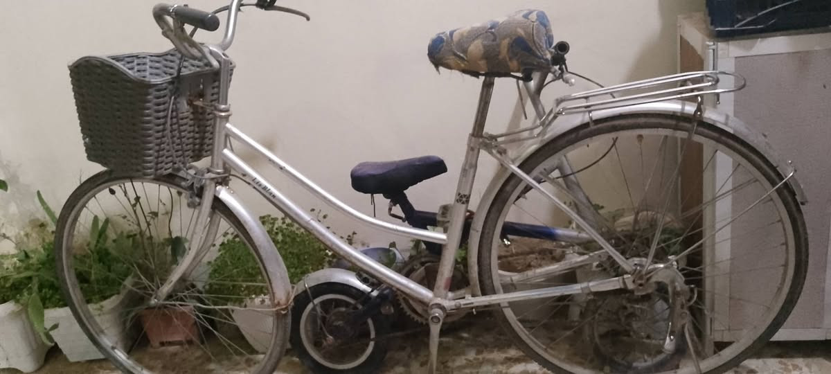 السلام عليكم بايسكل للبيع الويل الورا يعوزو 4 تيول والجوب الورا بنجر اذا مراوس اراوس و انطي فرغ ميخالف و اذا بيع السعر 65 و بي مجال مكاني موصل الايسر حي القدس ***********
