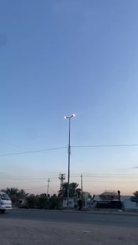 ماكس عدله • بوشه ٥٥ • معدل