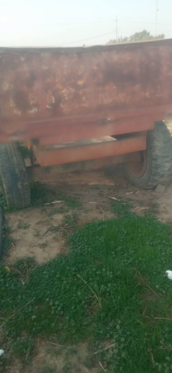 السلام عليكم يوجد عريانه+خرماشه للبيع
العنوان بابل جبله أتصل على الرقم التالي ***********/***********
