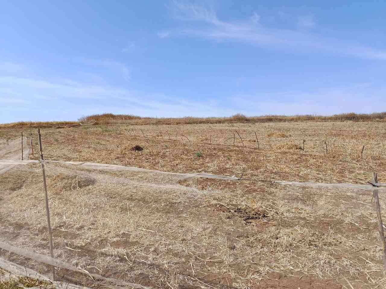 اعلان أرض فلاحية للبيع تيتر مساحة 4000 متر على طريق 💧🌾🌾🌾🌾🌾🌾🌾 كات واجد جماعة حودران ضي رومي إقليم الخميسات الثمن 15


**إذا كنت صاحب هذا الإعلان وتريد حذفه لأي سبب، رجاءا أرسل رسالة إلى الدعم الفني**