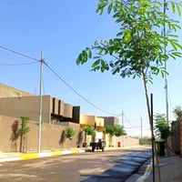 ازرع شجرة • مبادرة النفس الأخضر • واسط الحي