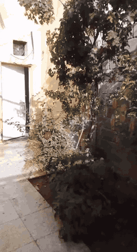 اسلام عليكم بيت طابو صرف 80متر غرفتين غرفه جوه وغرفه فوك وستقبال وصاله ومطبخ موضح بل صور ولفيديو  واجهيه 5ونزال 16 حديقه بيت مرتب سعره 58 وبي مجال وهاذ رقمي ***********
