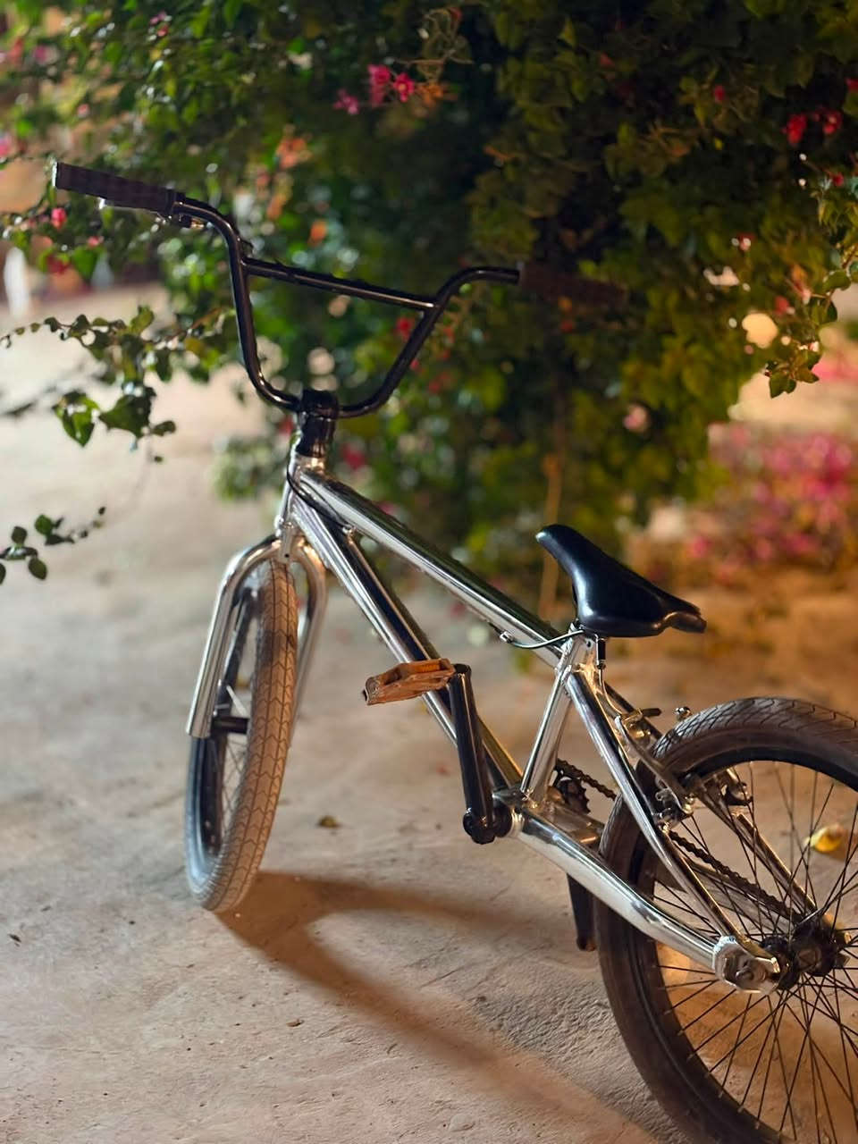 السلام عليكم
BMXللبيع
تايرات جوزي والفريم فضي 170 وبي مجال
***********
