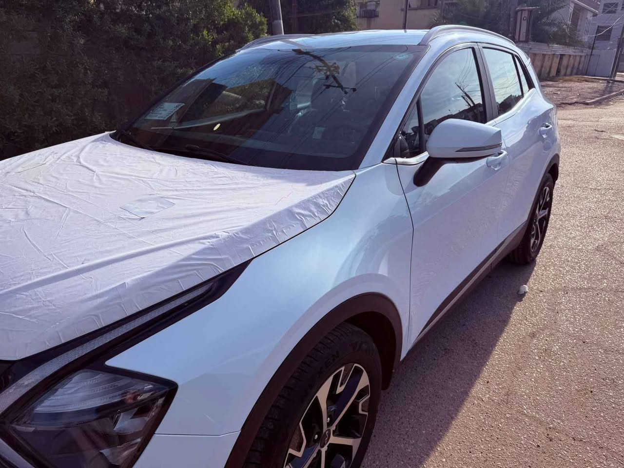 مكلف بلنشراتصل Jersey Shore, PA
