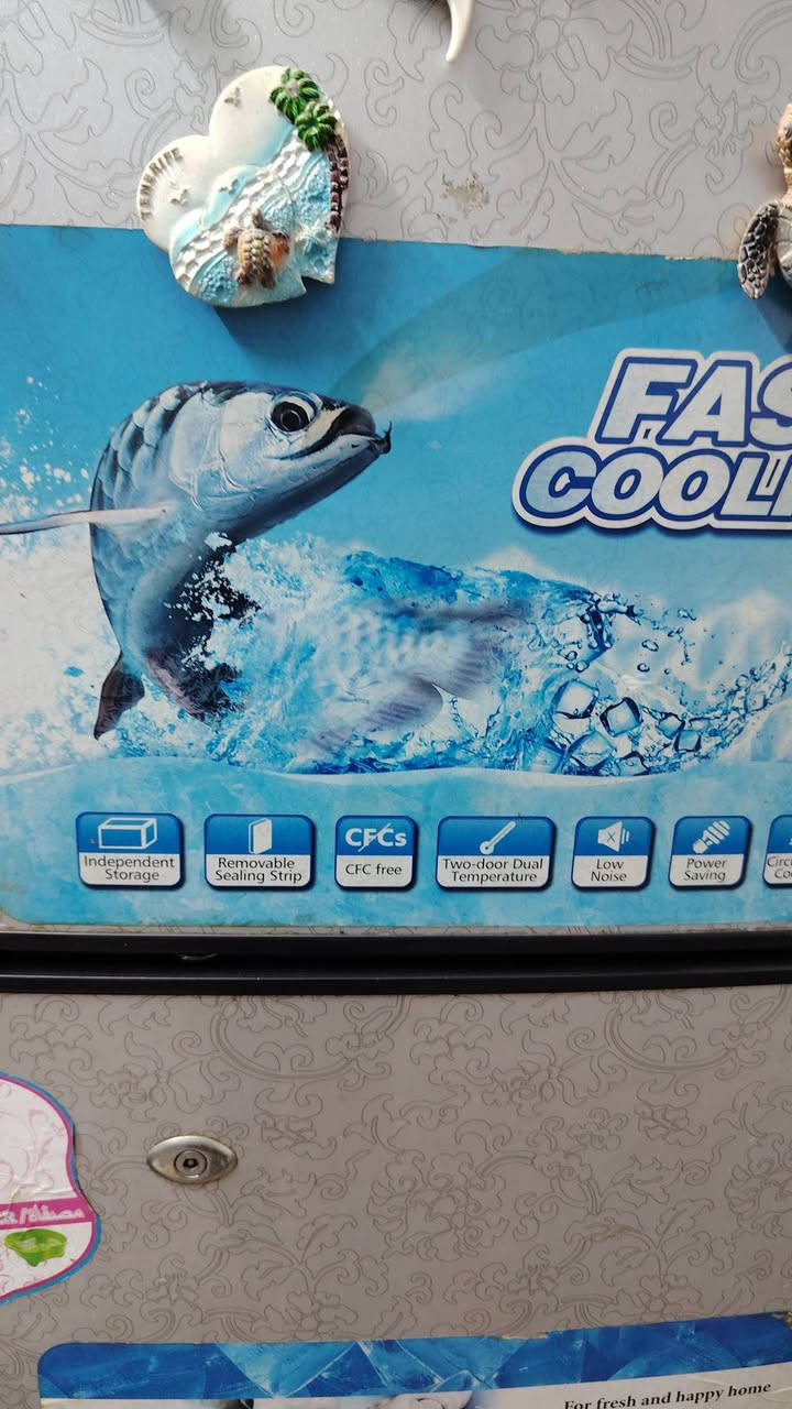 ثلاجه مستعملة للبيع السعر 250 الف


**إذا كنت صاحب هذا الإعلان وتريد حذفه لأي سبب، رجاءا أرسل رسالة إلى الدعم الفني**