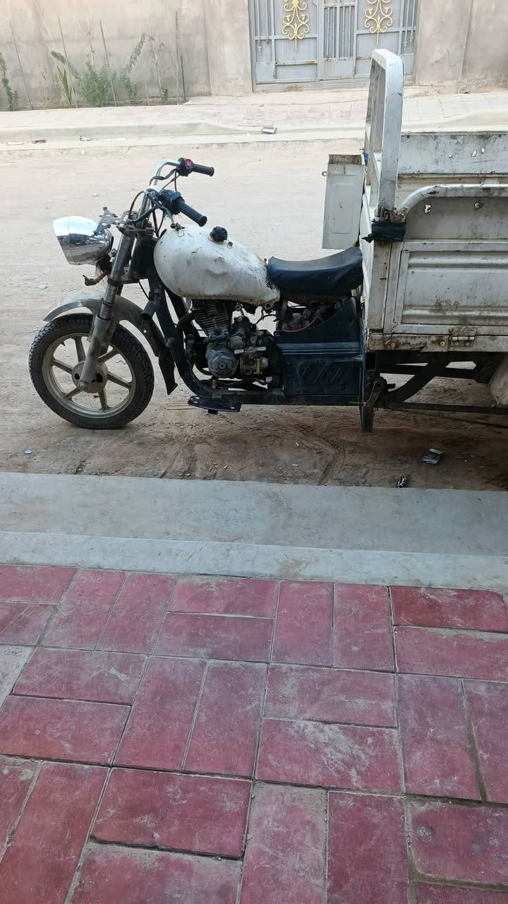 ستوته كلك لببع مكفوله  كفاله عامه من   لحيم من سرقه سعر 500 وبيه مجال مكان كربلاء قرب صيطرت البراهيميه  تصال على هذا الرقم ***********
