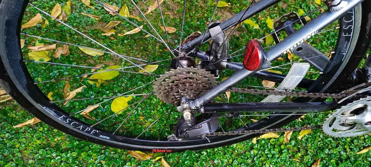 سلام عليكم. 
جاينت نظيف. تخم تاير. كشن طبي. 
***********
