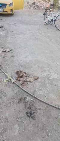 الدسيم • بيت • ٢٠٠م