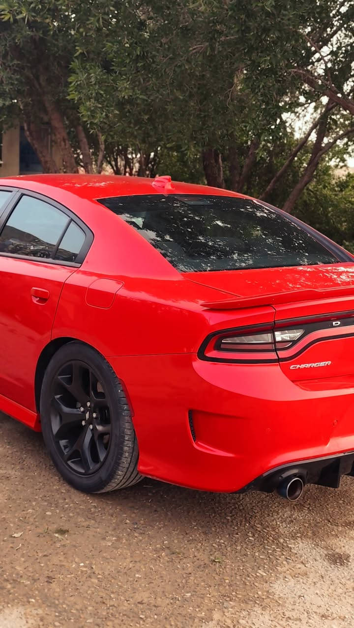 جارجر2022.GTرقم بغداد بسمي تحويل ثاني يوم موصفات لون احمر طماطه
شفتات+مرايه قلاب+كامره دواره

حساسات خلفي+حساسات مرايه

شاشه كبيره

تبريد خلفي 

عداد مسافة

60mi

هواي بعد موصفات ماعرفه 

حادث امريكا سطحي من كدام 

اني دخلته من امريكا

ستخدام شخصي

تفتصيل اكثر نتصال وتدلل 

***********

العنوان : ميسان العماره 

السعر :230$وبيه مجال

افحص سونار وقتنع وخادم
