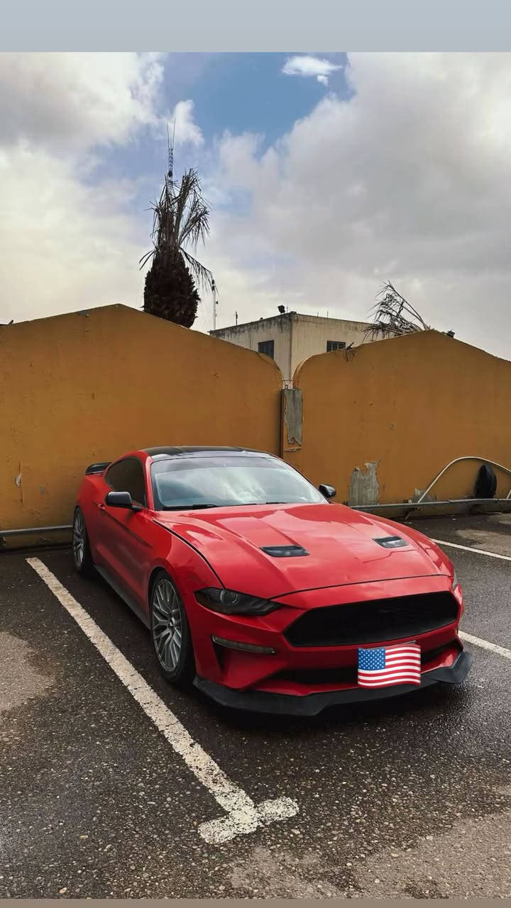 � للبيع – فورد موستنك 2019 EcoBoost – Black Edition
📏 الممشى: 40 ألف ميل

💥 الحالة: حادث جاملغ ايسر + باب السائق تبديل 

     

💰 السعر المطلوب: 158 ورقة

📍 الموقع: بغداد

🪪 رقم أربيل باسمي – تحويل مباشر

📞 للتواصل: [hidden information]

⚙️ المواصفات الأساسية:

• محرك 4 سلندر تيربو 2.3 لتر

• قوة 310 حصان

• نظام الدفع: خلفي

• ناقل حركة أوتوماتيك 10 سرعات

• نظام صوتي Bang & Olufsen

• كاميرا خلفية وحساسات

• دخول وتشغيل بدون مفتاح

• نظام تحكم بالمناخ ثنائي المناطق

🛡️ السلامة:

• وسائد هوائية متعددة

• مثبت سرعة ذكي

• نظام فرامل الطوارئ

📞وات ساب ***********
