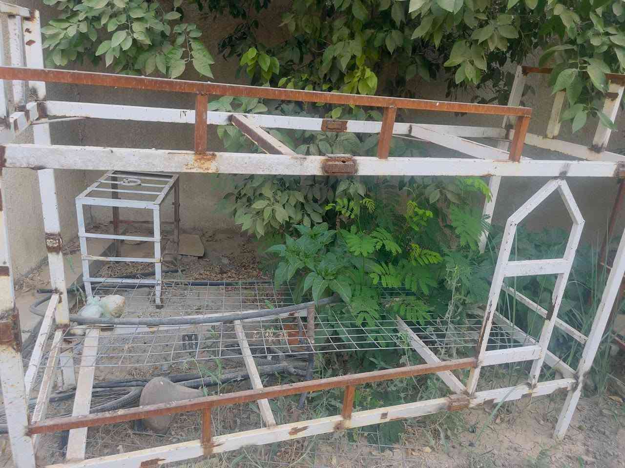 طباخ للبيع نظيف اعيد النشر بسبب الوعود الكاذبه النوعيه تكنو السعر ٢٠٠
مكينه مترؤكه السعر ٣٥ 
جرابي حديد طابقين تزكام السعر ٨٥
العنوان طوريج خلف الاطفاء


**إذا كنت صاحب هذا الإعلان وتريد حذفه لأي سبب، رجاءا أرسل رسالة إلى الدعم الفني**