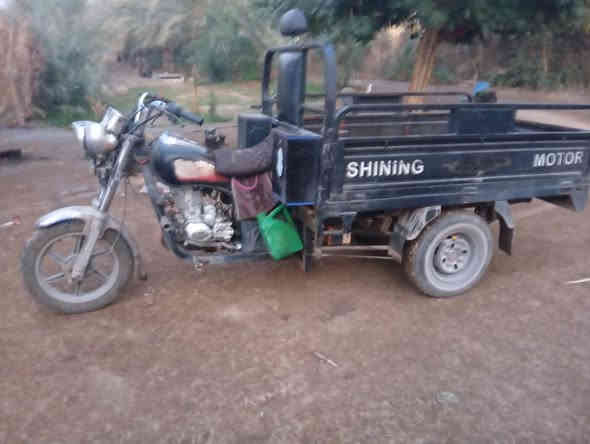 سلام عليكم اخوان جمره فحل مكفوله من كلشي مستعجل على بيعه الستوته كامله الشراي خابرني  بخير ويدلل ***********
