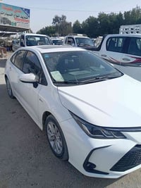 مراوس بكيا حمل اي مديل جديدة للي يريد يتصل عليه ٠٧٧٤٣٥٧٢٧٣١ بي وتساب