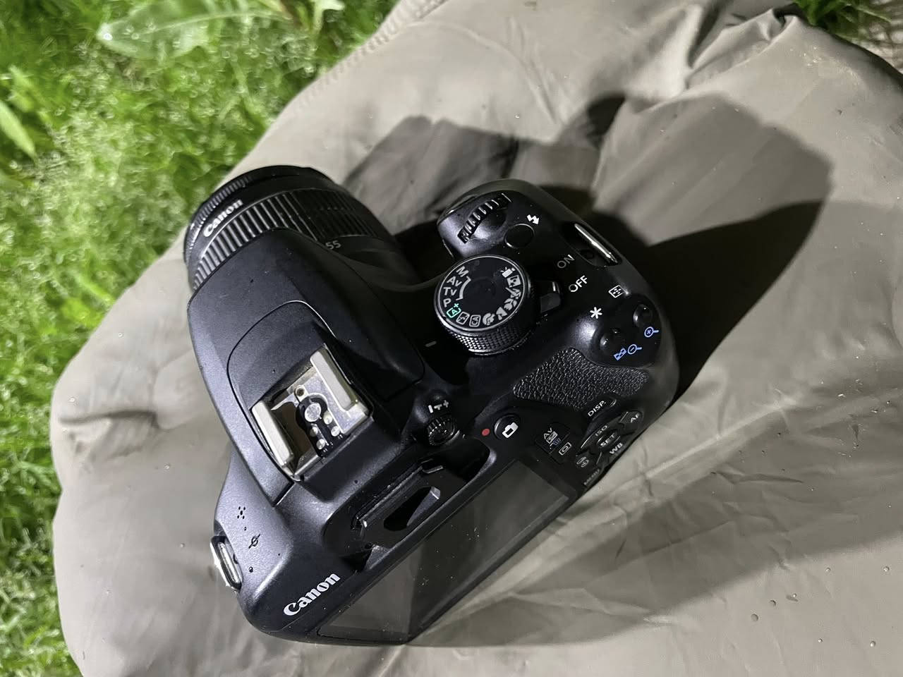 للبيع كانون
Canon1200   EOS

الملحقات 

عدسة 55.18 اوتو فوكس 

رام SD الأصلي وكاله

شاحنه

بطاريه 

جنطة درع ضد الكسر

حزام كتف

 

الكامرا نظافة 100% جديده مستخدمه سبوع واحد فقط

المكان بغداد للاستفسار اكثر التواصل السعر خاص او الاتصال ***********
