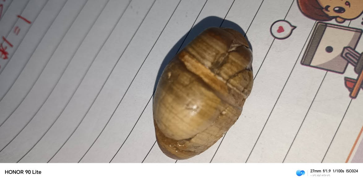 سلام عليكم


**إذا كنت صاحب هذا الإعلان وتريد حذفه لأي سبب، رجاءا أرسل رسالة إلى الدعم الفني**