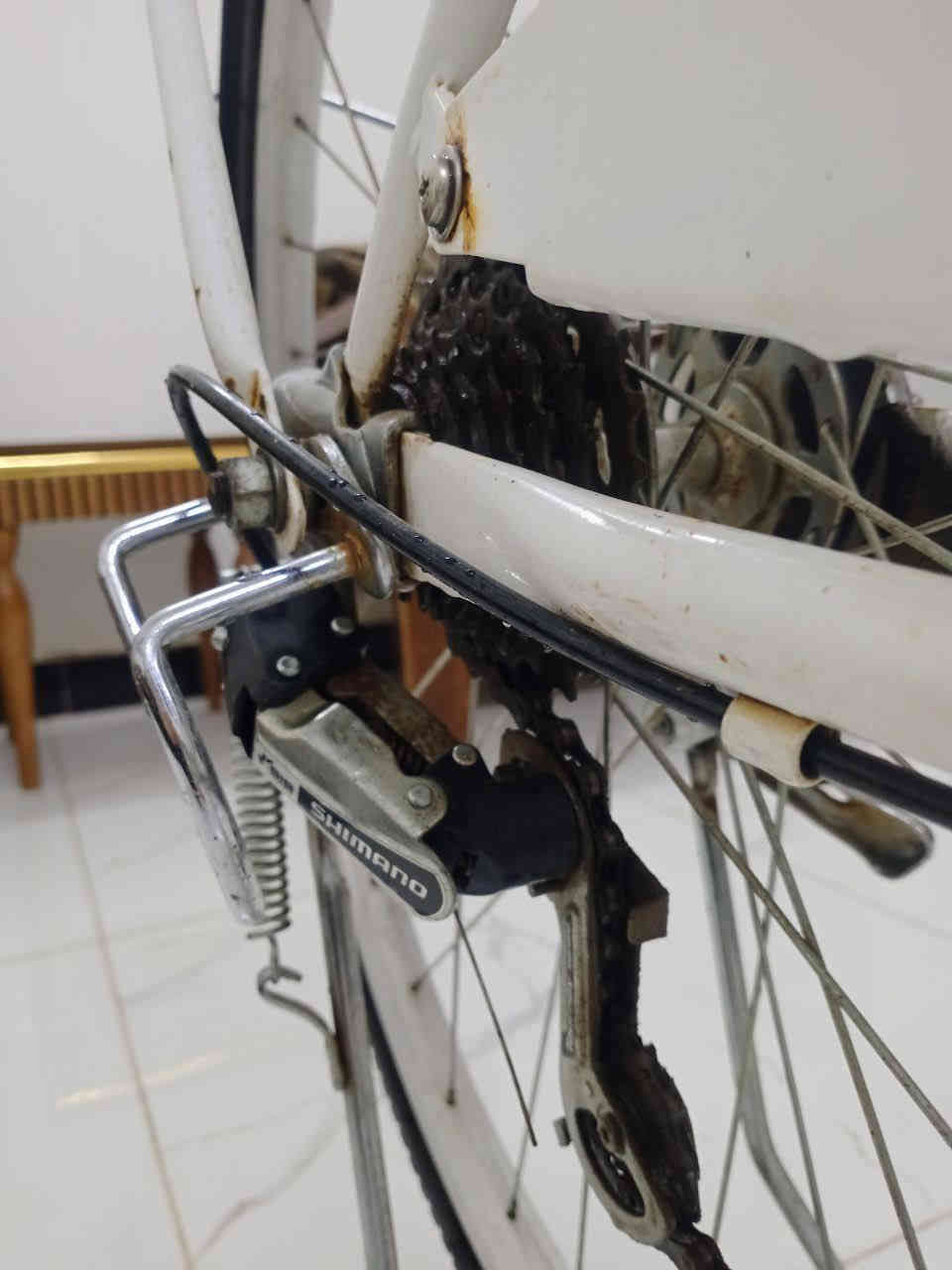 سلام عليكم بايسكل للبيع جديد بمعنى الكلمه موديل 2021 حجم 27 الله شاهد البايسكل كلش نضيف موضح بل صور ولسعر (125)وبي مجال للطيبين مكان بغداد ابو غريب رقم (***********)
