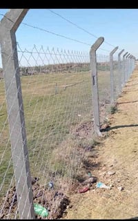 بي ار سي • حدائق وبساتين • شركات