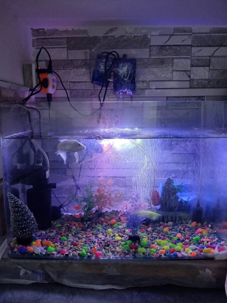 السلام عليكم  حوض اسماك🐟  حجم كبير كامل هو ومعداته
١- هيتر لتنظيم درجة حرارة الماء 🌡
٢-فلتر تصفية الماء ⛲️
٣- جهاز اوكسجين عدد ٣ 🧬
٤-اسماك عدد ٣ وحده كبيره ٢ اصغار  🐟
٥- نشره ملونه 🌈
٦- اكسسوارات= اشجار + ناعور + حصو ملون 
٧- اكل الخاص بيهن 🥣
السعر ٥٥  الاستفسار 
***********
