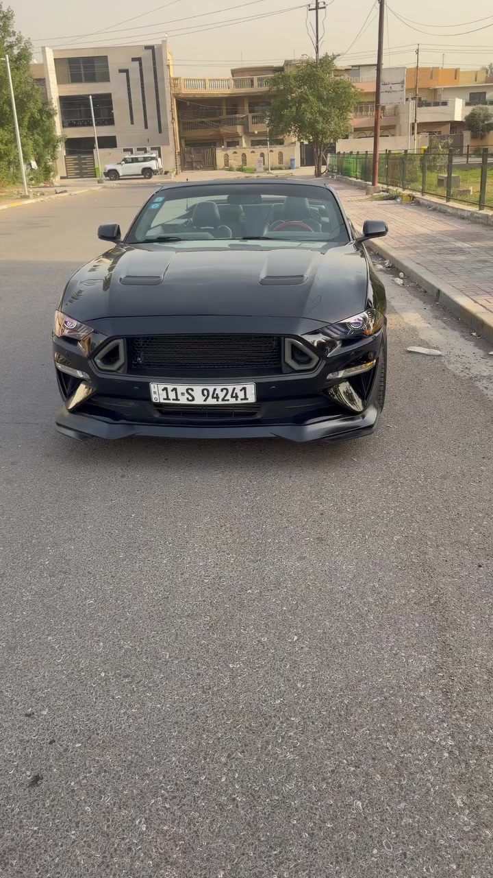 السلام عليكم من رخصة الادمن 

فورد موستنك ايكو بوست موديل 2019 
للبيع السياره جديده معنى الكلمه احلى من الصور وارد امريكي بيه 
 قطعتين صبغ 
والباب كلير امريكا 
وبيه خصرات وسحب بالشواصي بس 
السياره جديده فول 1/1
 مكينه كير كهربائيات كلهن كفاله من الفتح صدر جديد معنى الكلمه تخم تاير 
السياره مصروف عليه هواي شغلات يعني بس الصرف 30 ورقه 

السعر السياره 155 وبيه مجال وماكو هيجي سعر وهيجي نضافه 

العنوان بغداد الاعلام 

رقم الهاتف ***********

صور الحادث مرفقه 
اخوان السياره بسمي تحويل مباشر 
الشراي يتصل والي يعرف اسعارهن ويقيمهن يعرف شگد
