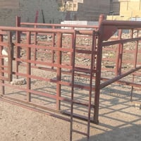 محجر كيا • حمل وسط • ابو غريب