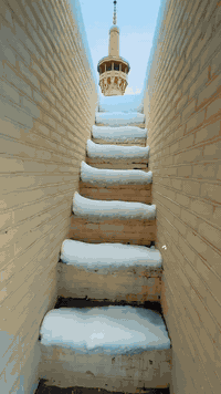 مشهد المقدسة • شقق وفنادق • خدمات سفر