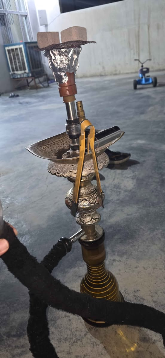 نركيله طه قزم شرط نفس او طعم سعره ٥٥ الاف
شراي اتصل 
*********** كركوك, العراق
