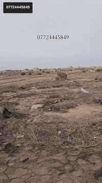 السفحة • قطعة أرض • ركن على شارعين