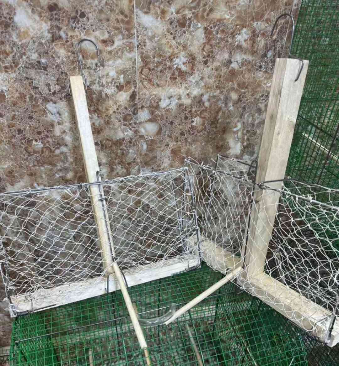 اقفاص بلابل  توفر جميع قياسات اسعار تبدي من 10 الف لحد 30 الف شراي يتصل ***********مكان بصره عشار تميميه البصرة, العراق
