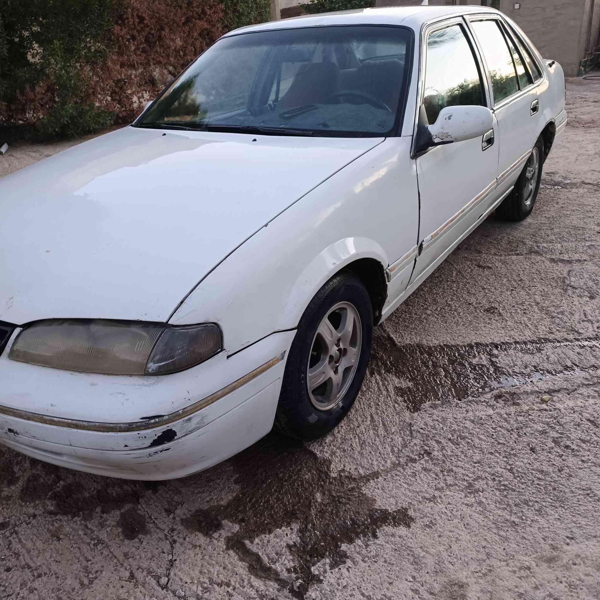 برنس فراشة  للبيع 1996
رقم بغداد صبغ حزام تحويل مباشر السعر 28 بيها مجال حگ الجية 
للإستفسار ***********
