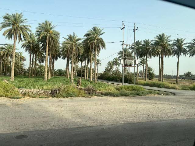 دوانم جدا جميله ومنطقة سكنيه وزراعيه ✅
سعر الدونم الواحد من 7 ملايين الى 15 مليون
طابو زراعي سند 25 فتح بيان مباشر بأسمك
والعنوان يصير مقابيل مدينة سبع البور تاجي
منطقة الشيخ عامر بلعيساويه عبور جسر الرعود الجسر
الثاني يعني الي اسعارهه من 7 الى 15 موقعهه من خلف السور الى قبل السور يصيرن قرب البفهد على 15 والاسعارهن 7 خلف السور عيساويه كلشي متوفر حسب الموقع مال ترض تواصل واتساب ***********
موجود قبل السور ومتوفر خلف السور وكلهن جاهزاوبيهن مستقبل اولا حلقي ثانيا مجمعات سكنيه بلشم بيهه
