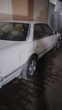 مارك عضم • وكالة • يحتاج ترتيب