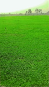 زبائننا الكرام اسعار تنافسيه سارع عله الحجز ابو الكميات سارع عله الحجز...