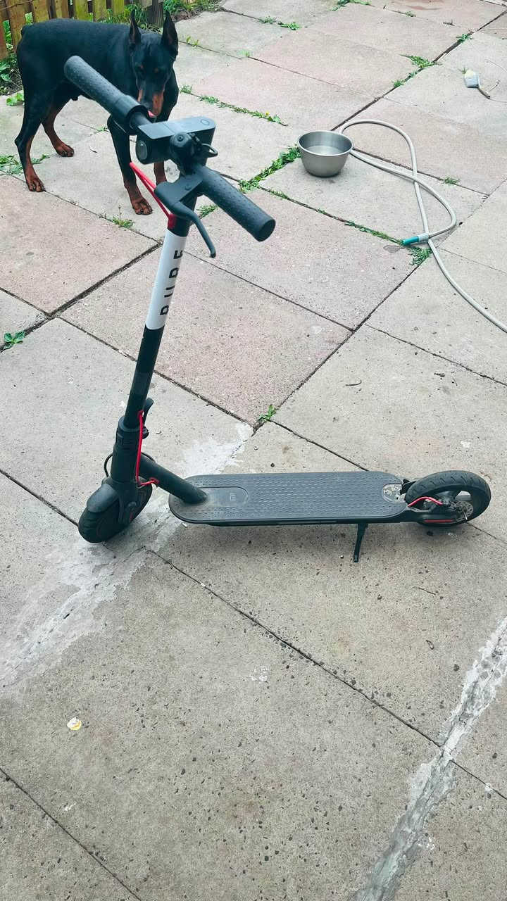 Along with charger and goes 26mph and swaps for bike im looking for Manchester, Lancashire


**إذا كنت صاحب هذا الإعلان وتريد حذفه لأي سبب، رجاءا أرسل رسالة إلى الدعم الفني**