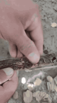 #مكافحةالارضة #اتصل_الان ***********
بيت - دائرة - مجمعات سكنية - مدرسة
مع شركة اليوسف الزراعية لكشف ومعالجة حشرة الارضة بجهاز السونار
وكادر هندسي متخصص

💥 ضمان 5 سنوات
‏‎ ✅ كوادرنا تعمل على مدار 24 ساعة ⏰

📌 سارع الان باتخاذ القرار الصحيح وتخلص من حشرة الأرضة

🏢 فروعنا متوفرة بكل بغداد وتكدرون تزورونا 

 ☎️ الاستفسار اكثر او الاتصال على ***********
او مراسلة صفحتنا على الواتساب     ***********
