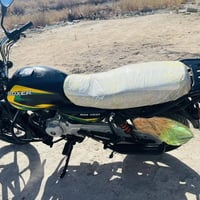 بوکسر موديل 22 • نظيفة • القرنة الثغر