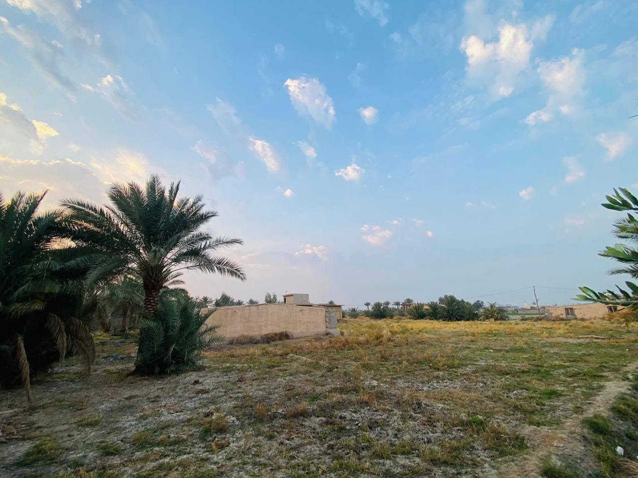 السلام عليكم 3 دونم طابو زراعي سند 25 ; طابو الكاظميه . 
واجهه الدونم 27 تباع تقطيع او كليا حسب رغبه المشتري
الارض مزروعه وكامله بيهه 50 نخله وبيهه 20 زيتونه 
شارع تبليط - ماء - كهرباء - ماء سقي  
تبعد عن الكاظميه 15 دقيقه موقع الارض التاجي سبع البور -
- البصام -
*********** بي واتساب #
