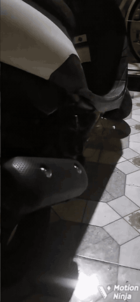 سلام عليكم اخوان دراجه ساسوكي البيع مفتوحه شغاله عوزه بس كفر كدام دراجه نظيفه سعره 200 بيه مجال الشراي موجود خاص و واتساب *********** مكاني  ميسان قضاء المجر الكبير
