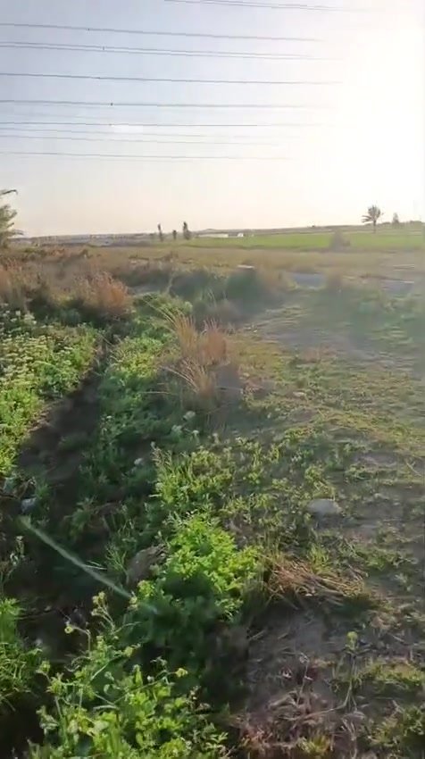 يوجد 30 دونم في مدينة الرمادي زنكوره مقابيل مزرعة احسان مباشرة.

الوجه على الاروائي.

سعر الدونم 16مليون وقابل للتفاوض.

طابو زراعي تنازل مباشر.

📍 موقع مناسب للاستثمار وقريب من الطرق الرئيسية.
📞 للاستفسار:
*********** واتساب
***********

📍 أو زيارة مكتبنا:
مكتب شمس الرافدين للعقار
طريق الثرثار – قرب الطاحونة
