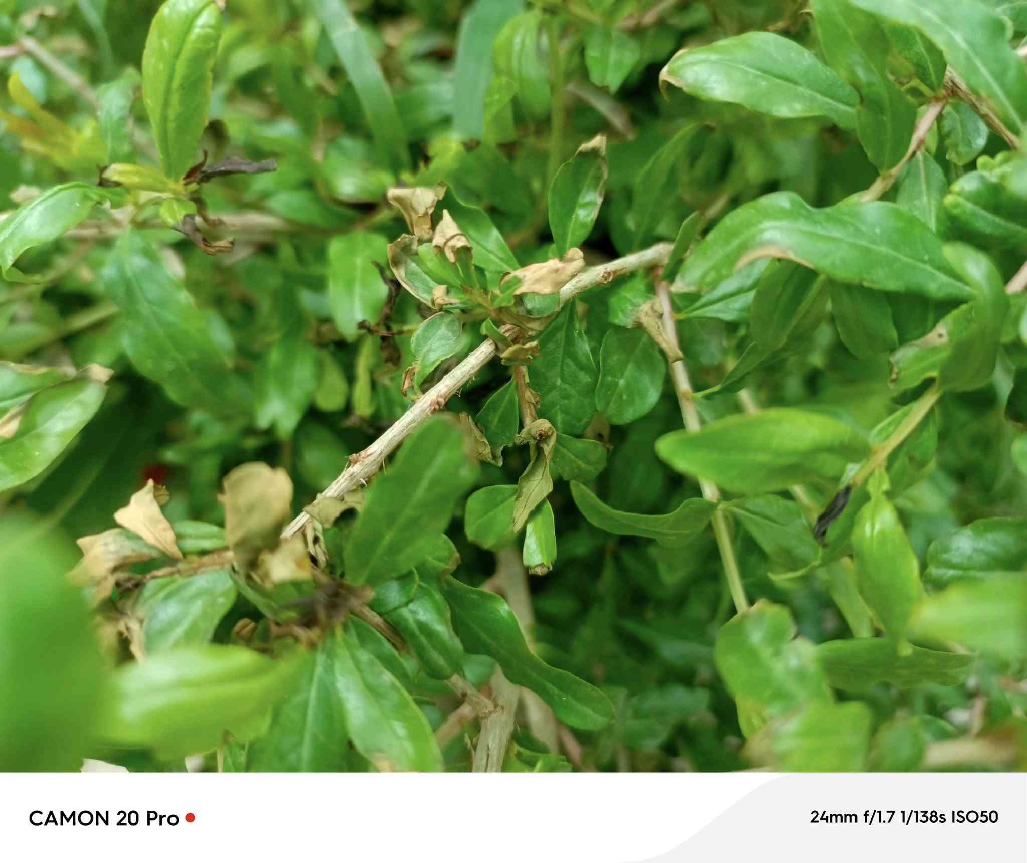 سلام عليكم ورحمه الله وبركاته عندي تكنو كومان 20 برو فايف جي جهاز يخبل وينطيك بالببجي 90 فريم وكامرة الجهاز كدامكم تخبل الجهاز مكفول من كلشي وممبدل بي شيء رايده ب260 وحق الله لو ما متوازي ما ابيع هيج سعر الجهاز يخبل بالعافيه الي ياخذه مكاني مجمع بيتي مقابل مدرسه بيتي


**إذا كنت صاحب هذا الإعلان وتريد حذفه لأي سبب، رجاءا أرسل رسالة إلى الدعم الفني**