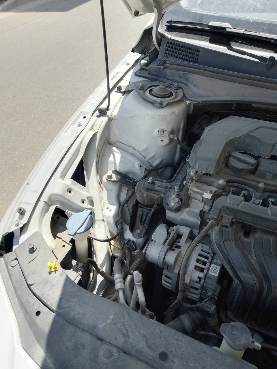 السلام عليكم للبيع النترة المعلومات داخل الصور
