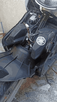 سلام عليكم دراجه فراشه فحل للبيع نضيفه مكينه ناعمه كهربائيات شغاله سلف هندر شغال السعر 375 رقمي ***********
