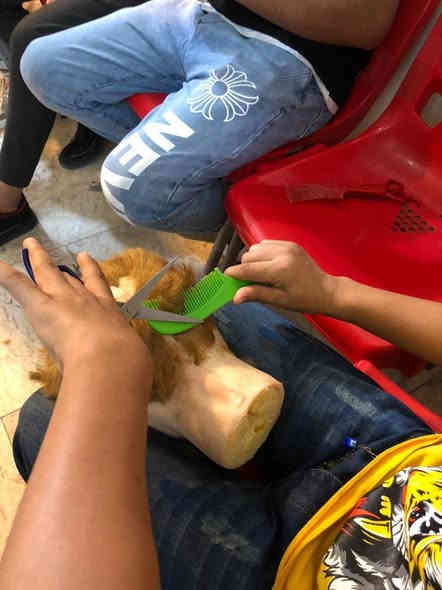 مركز آزار لدورات تعليم فن الحلاقة❤️❤️
 يعلن عن فتح دورات للحلاقة الرجالية وتشمل
..........................
١/مقص✂️
٢/شفرة📏
٣/خيط🧶
٤/مكينه🎚
٥/صبغ الشعر (كيفية دمج الالوان)🎨
٦/ معالجات الشعر بكل انواعه🦱🦰
٧/ معالجات البشرة 💆‍♂️💆‍♀️
٨/ مع هدية صادرة من المركز اثناء التخرج👍🎫🎟
#ملاحظة.... عند انتهاء الدورة وتكون عندك نقص معلومات تعاد لك الدورة مجاني 
للاستفسار الاتصال على الرقم التالي 
البصرة الجمهورية تقاطع معهد النفط قرب الريان سنتر للألعاب 
للاستفسار الاتصال 📞على ارقام المركز....
☎️***********
☎️*********** البصرة
