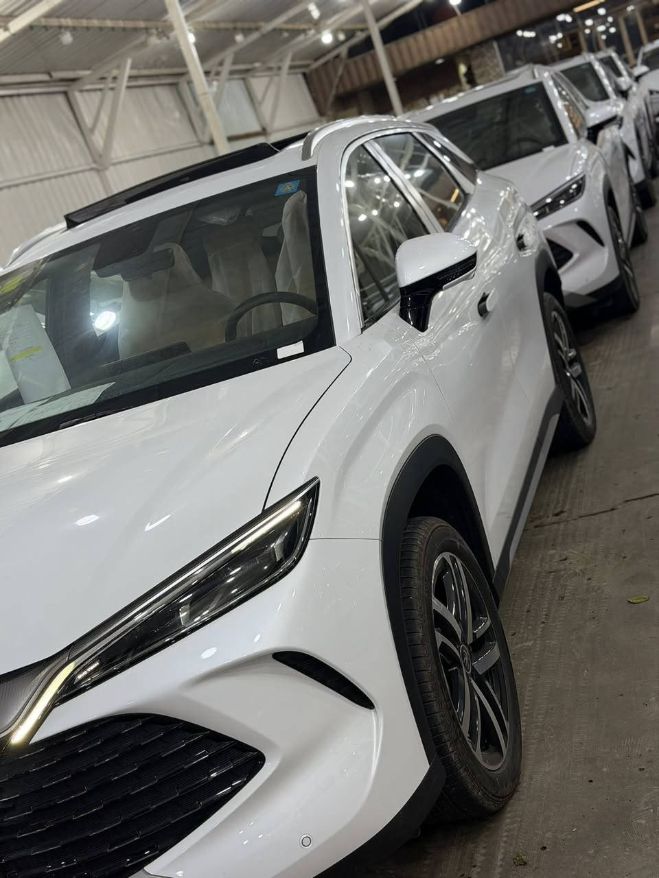 السلام عليكم تم وصول سونك ال موديل 2025 فوللل مواصفات صفر زيروو 0️⃣ مثبت لوحات مميزه و سنويه بسمي  ال كميه خير من الله 
مواصفات 
بصمه كارت 
بنراما 
جنطه كهرباء 
8كامرات 360درجه 
كشنات 2كهرباء 
واير ليس شاحن 
كشنات تتفئه تبريد 
يدات شفط 
أناره محيطيه 
شاشه تدعم كاربلاي واندرويد 
شاشه قلابه 
ثلاث انضمه (سبورت. ايكو .نورمل)
علامه ضوئيه بي وايدي 
ملحقاته (شاحن العدد 2. كاعيات منفاخ وفوم ومثلث وماسحات )
مري شفط 
قطعتين تبريد 
العنوان (بغداد .معارض الكريعات.معرض ميديا )
والأسعار نار 🔥 اتصل وتدلل 
الاتصال***********
