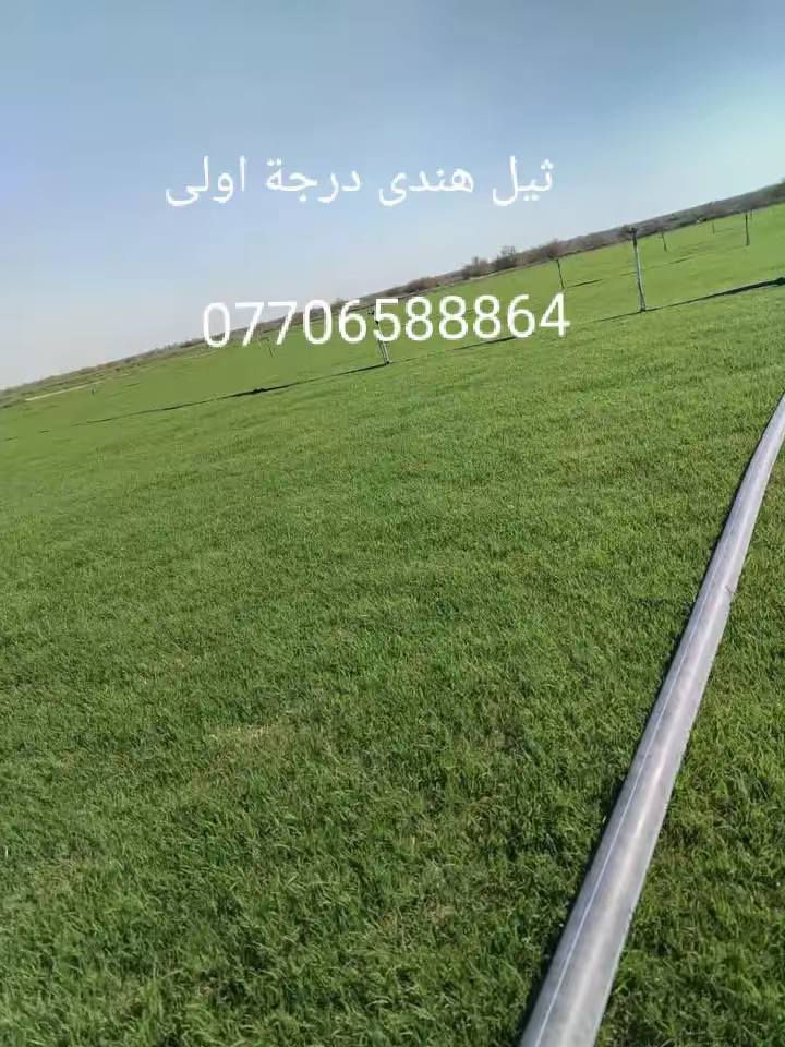 متابعينة الكرام //يتوفر جميع انواع الثيل من مزرعة  مشتل التاجي (ثيل هندي )(ثيل فرنسي )(ثيل ايطالي) بسعار مناسبه يوصلك الباب البيت مباشر من المزرعه فريش وريان للحجز والاستفسار
*********** يتوفر واتساب
*********** يتوفر واتساب
