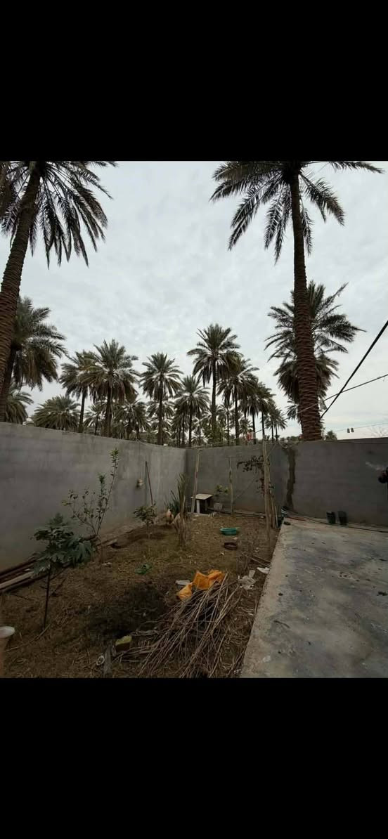 دار للبيع مساحة الكلية 416 متر طابو صرف زراعي 25
يتكون البناء
الارضية رفت
البناء استقبال+ هول داخلي+3 غرف نوم واحدة منها سويت 2 جوة واحدة فوك
مطبخ حار و بارد
مجمع صحيات +صحيات خارجية
سطح امامي وسطح خلفي
خط انترنيت ضوئي ماء اسالة
وايضا حسب رغربتك يوجد مولد 30 KV
السعر 185 وقابل للتفاوض
البناء طابوق السقوف كونكريت 
عرض الشارع 10متر يبعد عن السدة تقريباً 400 متر
العنوان جويميسة الشرقية سدة بيت حسوني نزلت ستار العبيدي
(بالقرب من الفريجي) 
للاستفسار الإتصال على الأرقام
***********
***********
((يرهم مراوس في حي الاسرى او السراي حصرا))
