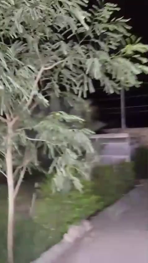 السلام عليكم 
بيت للبيع العنوان حي منصور خلف علوة السيد على الشارع الرئيسي مباشر 
بناء جديد و مرتب سند 25 مداور مباشر 
يحتوي البيت على 3 غرف نوم واحدة منها 
لمعرفة التفاصيل اكثر الاتصال على الرقم 
*********** 
او زيارة مكتب بوابة الخير للعقار الكائن في شارع سيد يونس مجاور سالم الفتلاوي ابو زهراء
